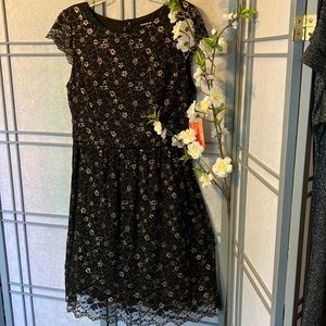 Holiday dress by Gianni Bini in black + gold lace